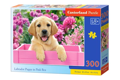 Пазли Castorland Щеня в ящику на 300 елементів