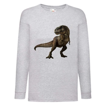Лонгслив реглан Парк Юрского Периода 002 (Jurassic Park) серый (JPK gry 002) 116 см