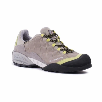 Кроссовки Scarpa Mystic GTX WMN 36,5 Світло-сірий