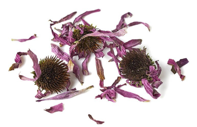Ехінацея пурпурова (квіти) 1 кг