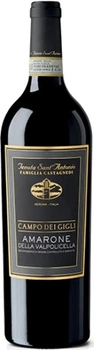 Вино Tenuta Sant'Antonio Amarone della Valpolicella "Campo dei Gigli" красное полусухое 0.75 л 16% (8032841821201_8032841820808)