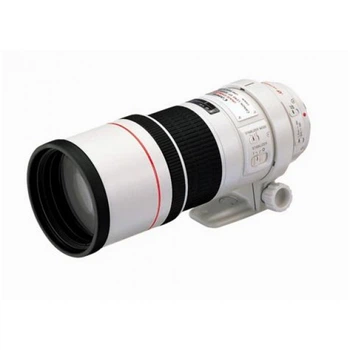 Canon EF 300 mm F/4 L IS USM