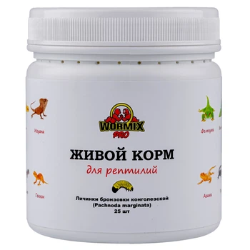 Живой корм для рептилий – Бронзовка конголезская (Pachnoda marginata) 25 шт. Ладья-2