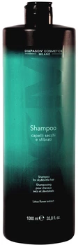 Szampon DCM do włosów suchych i zniszczonych 1000 ml (8053830981515)