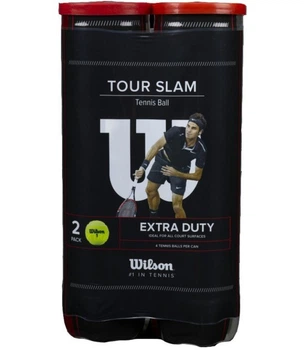 Тенісні мячики Wilson Tour Slam