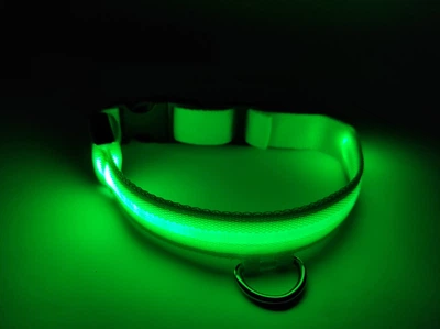 Нейлоновий нашийник для собак DogClub USB L (45-52 см), що світиться