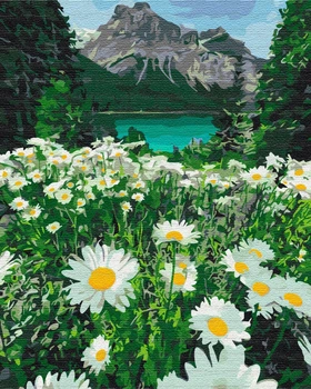 Картины по номерам 40×50 см. Ромашки у подножья гор Brushme
