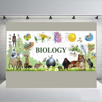 Банер у кабінет біології "Biology" розмір 3000х 2000 мм + тубус