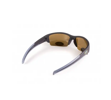 Темные очки с поляризацией BluWater Daytona-2 polarized (brown) (4ДЕЙТ2-50П)