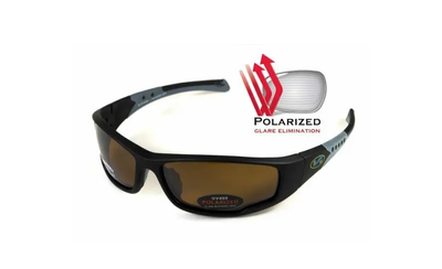 Темные очки с поляризацией BluWater Daytona-3 polarized (brown) (4ДЕЙТ3-50П)