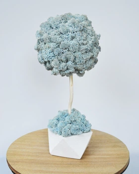 Декоративное дерево, топиарий с настоящим мхом Fresh Sky, 30 cm T27