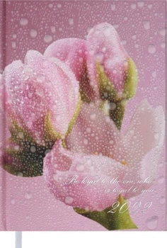 Ежедневник датированный Buromax Posh A5 на 336 страниц Розовый (BM.2118-10)