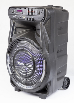 Акустическая колонка Manta SPK5033 Party Audio