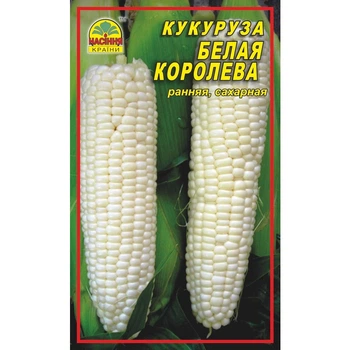 Насіння кукурудзи Біла королева 20 г (Насіння країни)