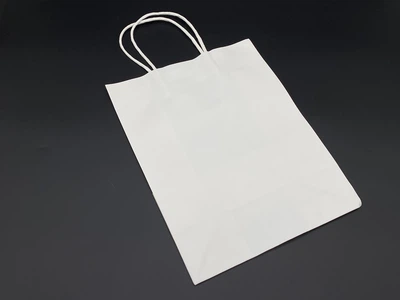 Крафт-пакет бумажный с витыми ручками 21 х 15 х 8 см Белый (BG-631-2)