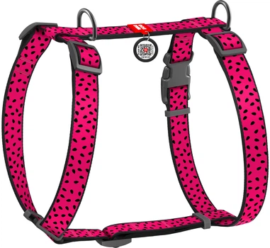 Шлея для собак Collar анатомічна H-подібна WAUDOG Nylon з QR-паспортом, пластиковий фастекс, L, Ш 25 мм, А 50-90, В 60-100 малюнок "Кавун" (5562)