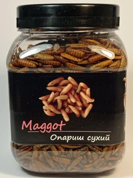 Опариш сухий натуральний Буся Maggot. Банка 450мл/160г