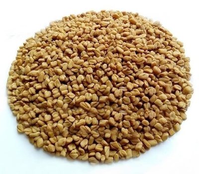 Пажитник сінний Шамбала (насіння) 1 кг
