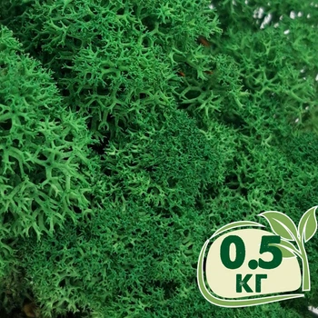 Стабилизированный мох ягель Nordic moss Зеленый травяной темный 0,5 кг