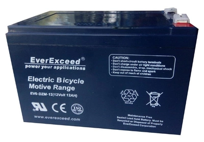 Аккумуляторная батарея EverExceed DZM 12-12