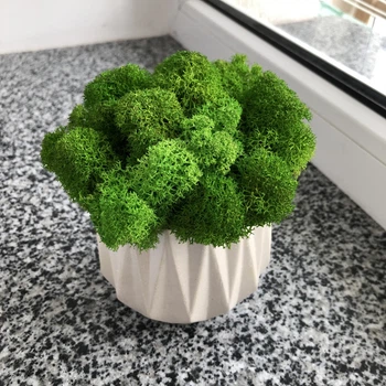 Кашпо со мхом гипсовое MiNature Moss ягель зелёный