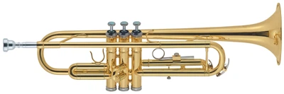 Труба J.MICHAEL TR-200A (P) Trumpet