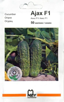 Семена огурец Аякс F1 50 семян Nunhems 1898
