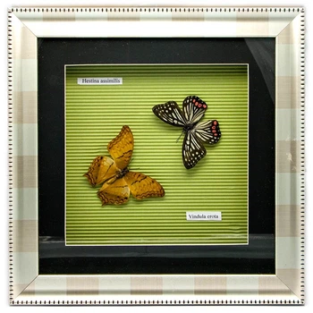 Картина Бабочки в рамке (30х30х3,5 см) Two in de box