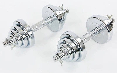 Гантели разборные (2шт по 10 кг) хром диск с резьбой 20кг TA-8055-20