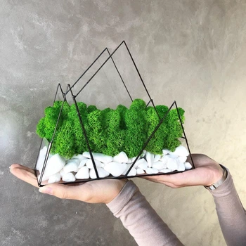Моссариум Горы со стабилизированым мхом MiNature Moss