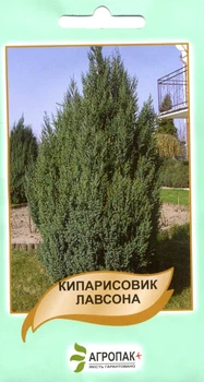 Семена Кипарисовик Лавсона 0,1 г Legutko 43576