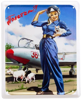 Металева табличка "Полетіли? (Pin Up)" (ms-002054)
