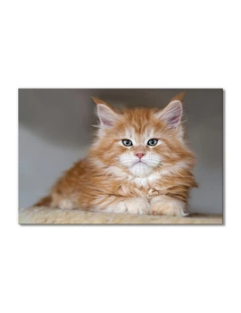 Модульная картина Artel «Рыжий котенок мейн-кун» 1 модуль 30х45 см(Zhivotnye1810007)