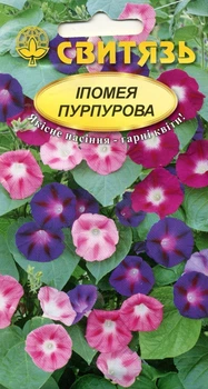 Семена цветы Ипомея пурпурная 1 г СВИТЯЗЬ 61238