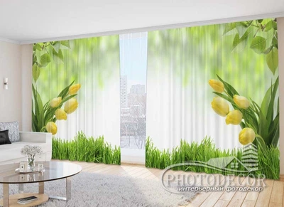 Фото Штори PHOTODECOR "Жовті тюльпани в траві"