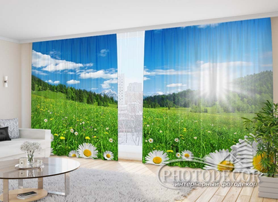 Фото Штори PHOTODECOR "Ромашкове поле"