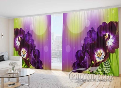 Фото Штори PHOTODECOR "Фіолетові тюльпани"
