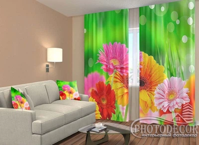 ФотоШторы PHOTODECOR "Красивые герберы"