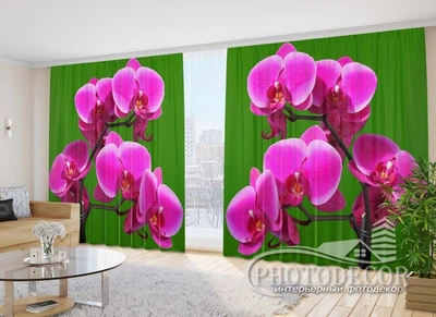 Фото Штори PHOTODECOR "Малинові орхідеї на зеленому тлі"