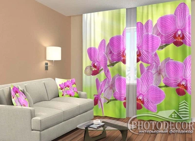 ФотоШтори PHOTODECOR "Гілочки малинових орхідей"