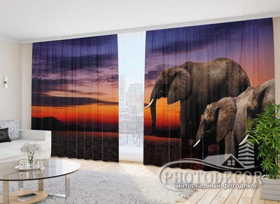 Фото Шторы PHOTODECOR "Слоны"