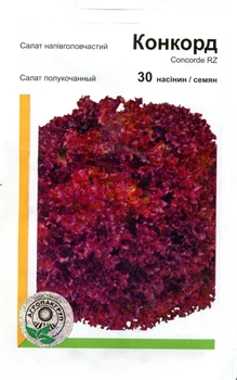 Семена салат Конкорд 30 семян Rijk Zwaan 67323
