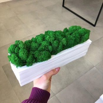 Деревяне брашироване кашпо із стабілізованим мохом MiNature Moss