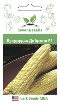 Насіння кукурудзи Добриня F1 100 шт. Lark Seeds
