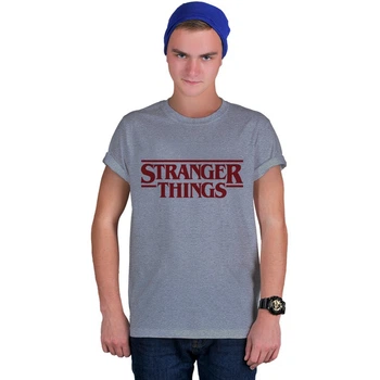Футболка Fanbolka Очень Странные Дела Stranger Things L Темно-серая меланжевая (33MGML)
