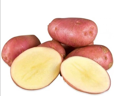 Семенной картофель Дезире 1 кг среднеспелая 1 репродукция AgroPlant