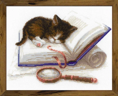 Набор для вышивания Riolis Котенок на книжке (1725)