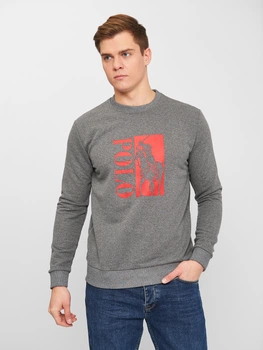 Свитшот мужской Polo Ralph Lauren 10833.2 2XL Серый