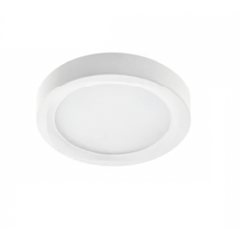 Потолочный светильник светодиодный-LED Sneha (997074 12w IP54)