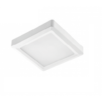 Потолочный светильник светодиодный-LED Sneha (997073 12w IP54)